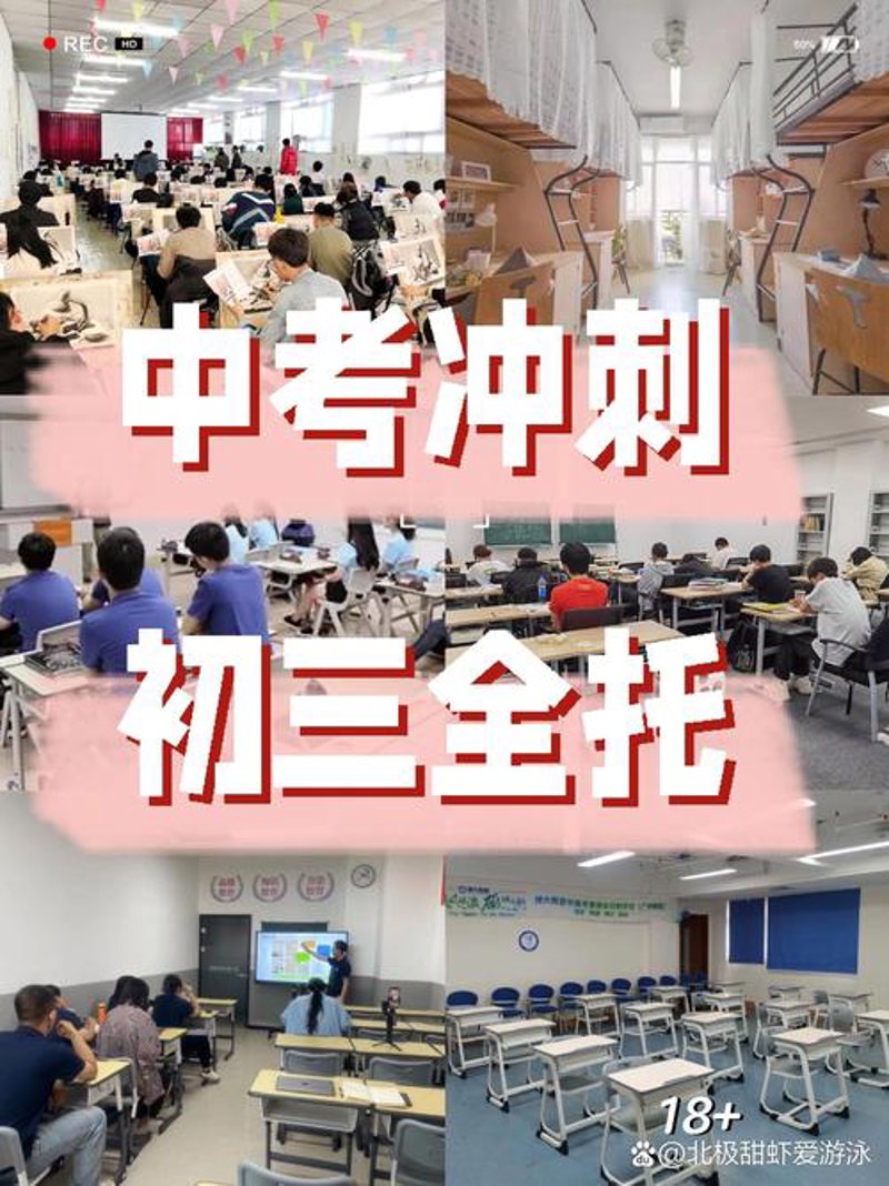 高中英语网课：教育新趋势